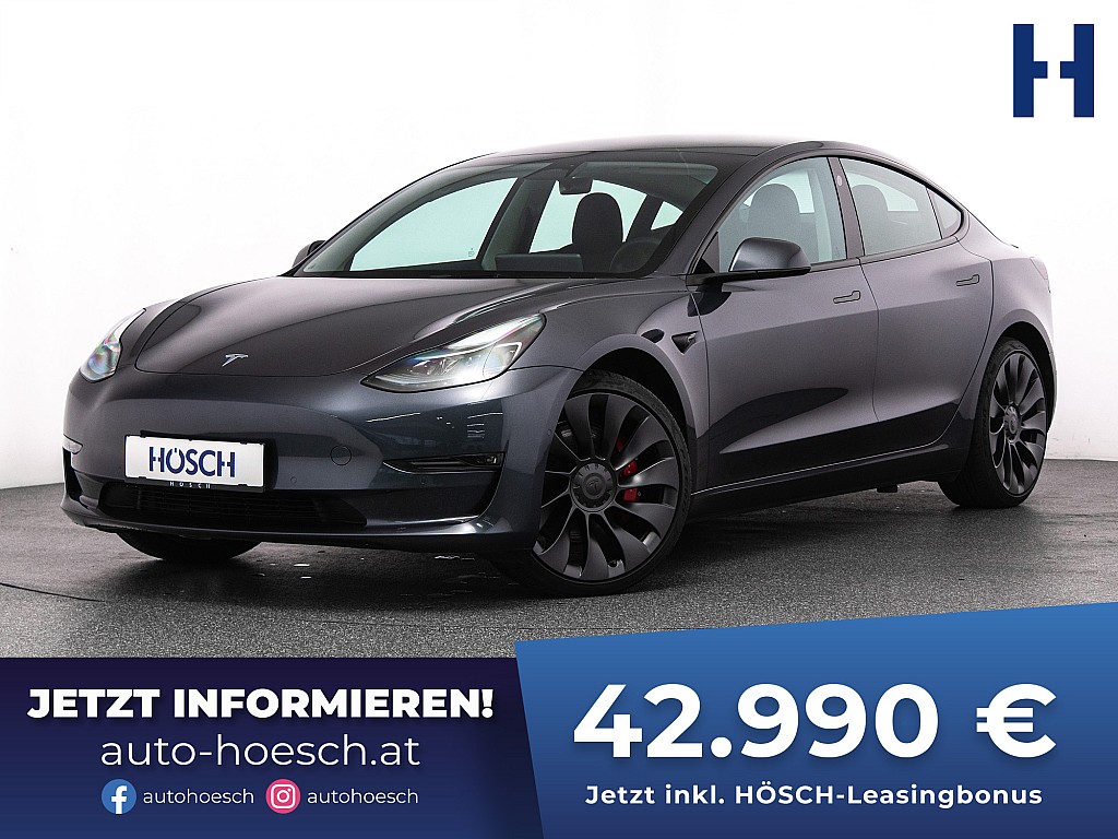 Tesla Model 3 Performance AWD PDC TOP-ANGEBOT bei Autohaus Hösch GmbH in 